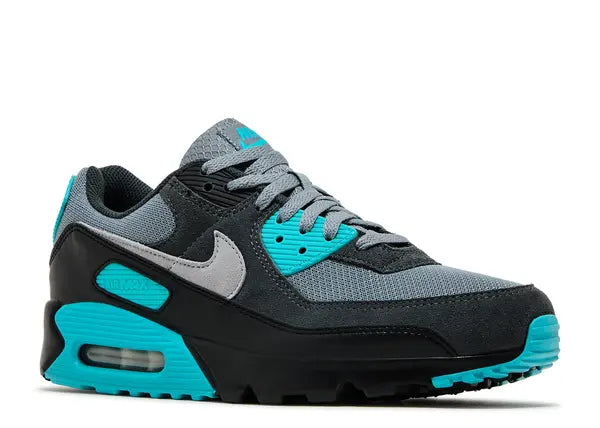 Nike Air Max 90 Cool Grey Dusty Cactus Black Wolf Grey Front