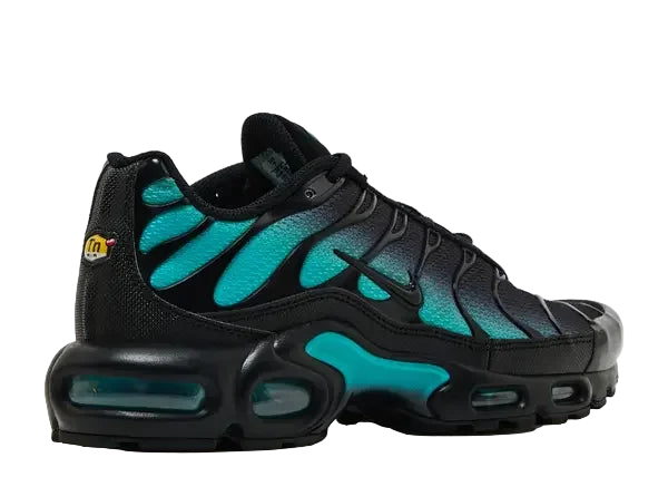 Nike Air Max Plus Black Dusty Cactus Back