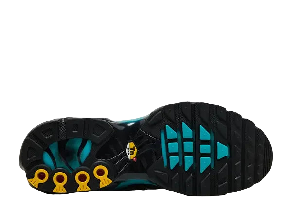 Nike Air Max Plus Black Dusty Cactus Bottom