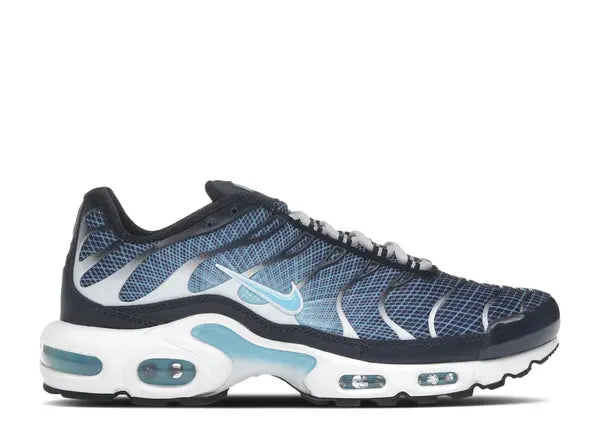 Nike Air Max Plus Dark Obsidian