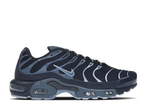 Nike Air Max Plus Obsidian Aluminum