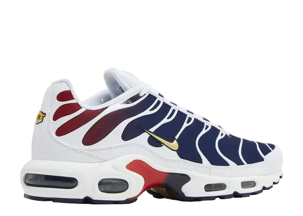 Nike Air Max Plus PSG Back