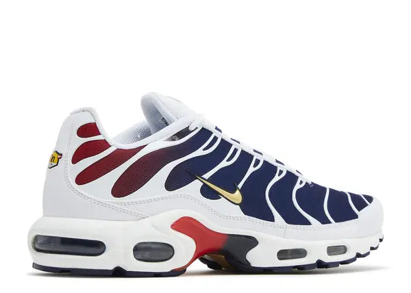 Nike Air Max Plus PSG Back