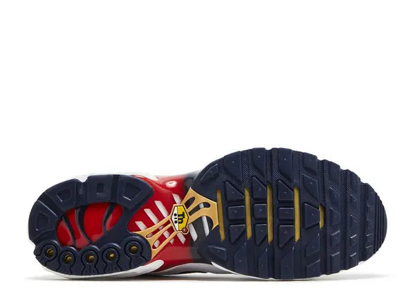 Nike Air Max Plus PSG Bottom