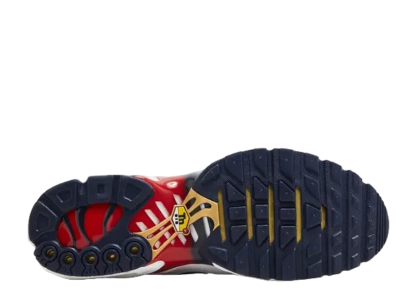 Nike Air Max Plus PSG Bottom