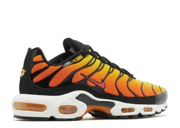 Nike Air Max Plus Sunset Back