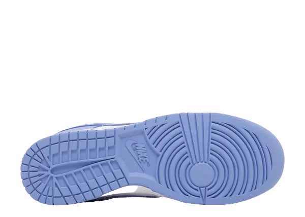 Nike Dunk Low Polar Blue Bottom
