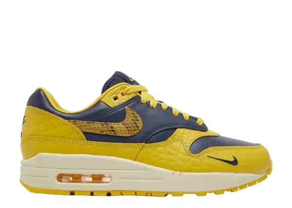 Nike Air Max 1 CO.JP Michigan Head to Head Side