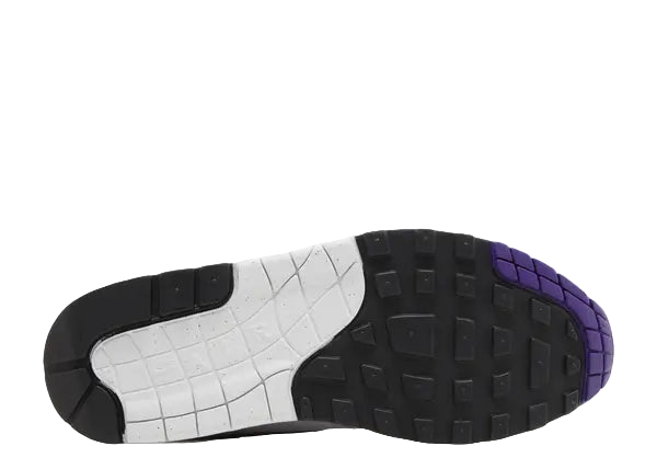 Nike Air Max 1 SC Field Purple Bottom