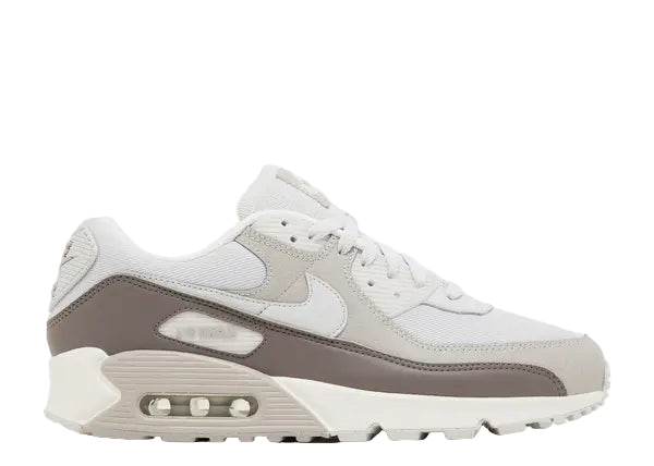 Nike Air Max 90 Photon Dust Light Iron Ore Side