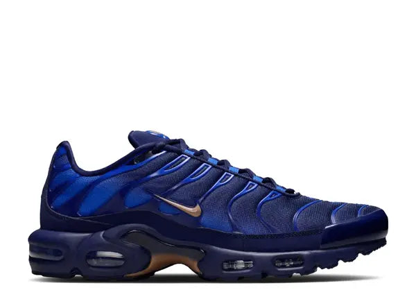 Nike Air Max Plus French Football Federation