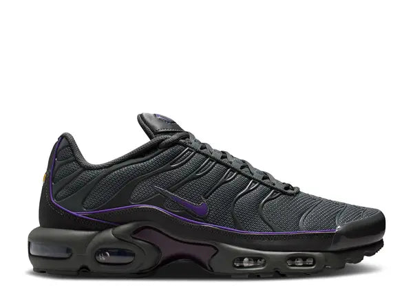 Nike Air Max Plus OG Iron Grey Wild Grape
